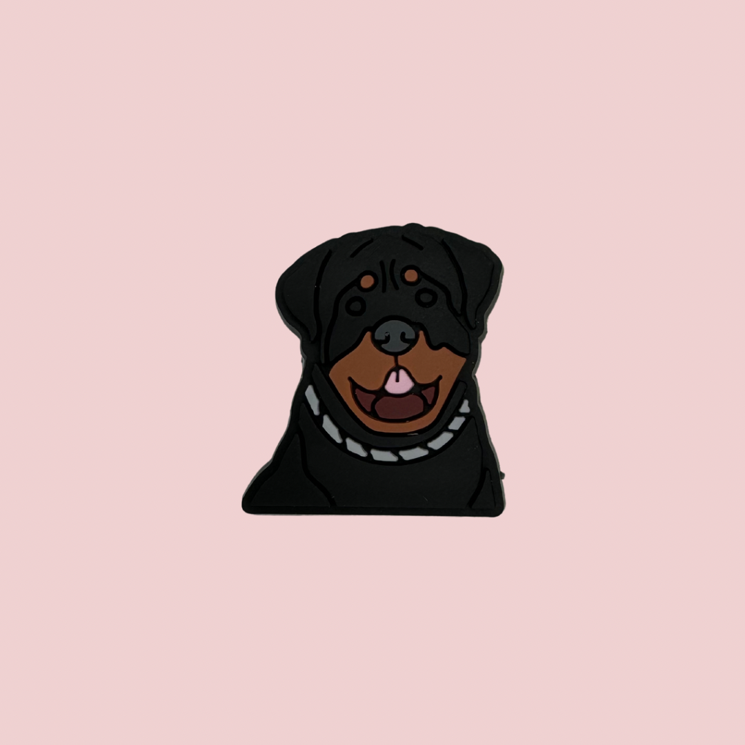 Rottweiler dog