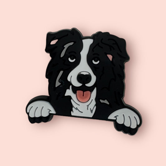 Border collie