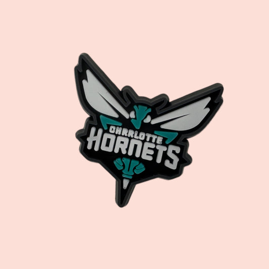 Charlotte hornets