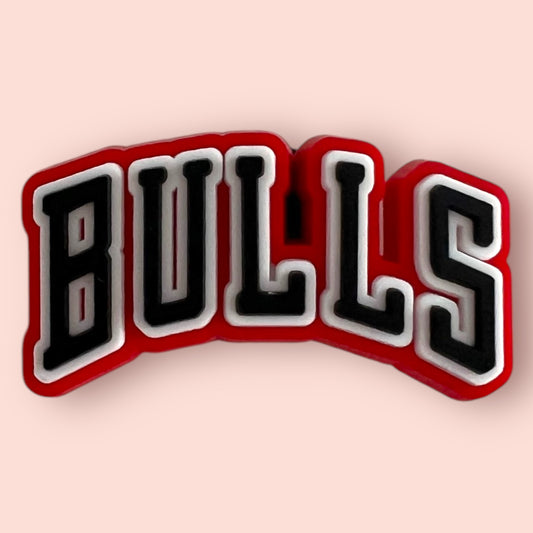 CHICAGO BULLS LOGO